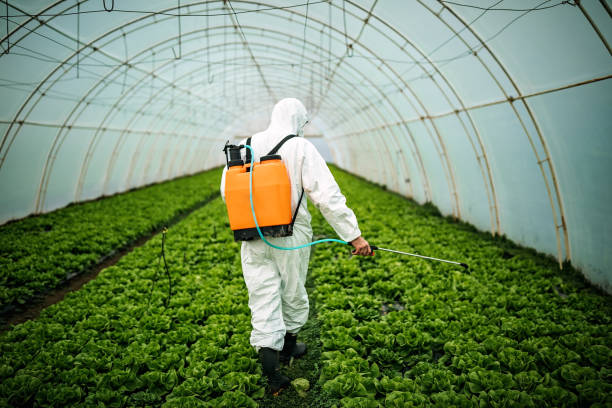 Best Pest Prevention Services  in Worth, IL