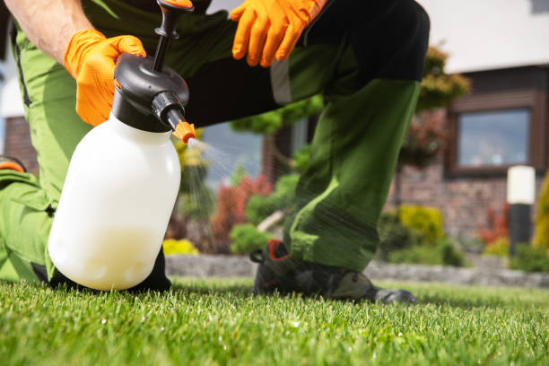 Best Emergency Pest Control  in Worth, IL