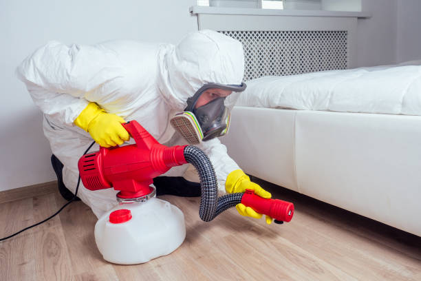 Trusted Worth, IL Pest Control Experts