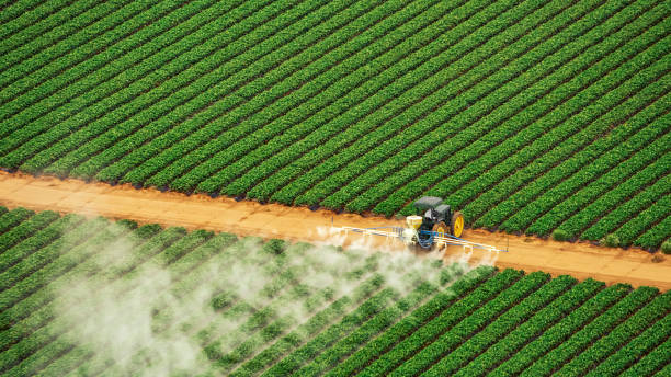 Best Best Pest Control Companies  in Worth, IL